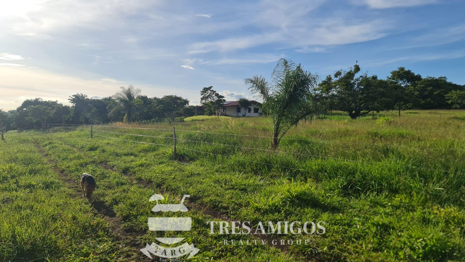 MOUNTAIN VIEW ECOFARM Playas del Coco Properties Costa Rica Real